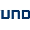 Hyundai Hywd4017 Motobomba Centrífuga Motor Diesel 17hp 4" X 4" - Imagen 3