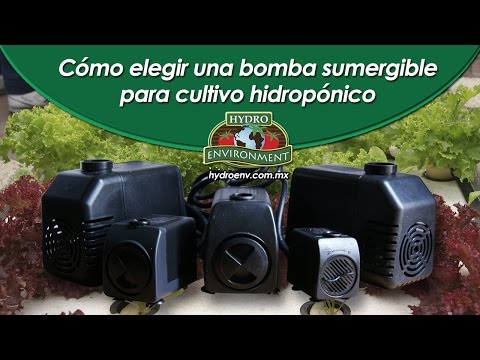 ¡Nueva Guía! | Como Elegir Una Bomba Sumergible Para Cultivos Hidropónicos